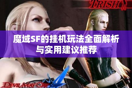 魔域SF的挂机玩法全面解析与实用建议推荐