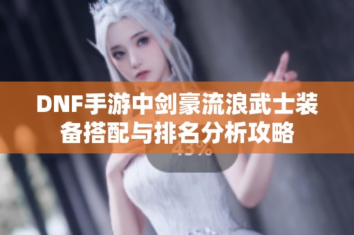 DNF手游中剑豪流浪武士装备搭配与排名分析攻略