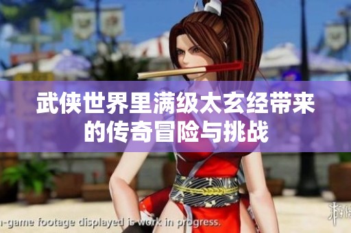 武侠世界里满级太玄经带来的传奇冒险与挑战