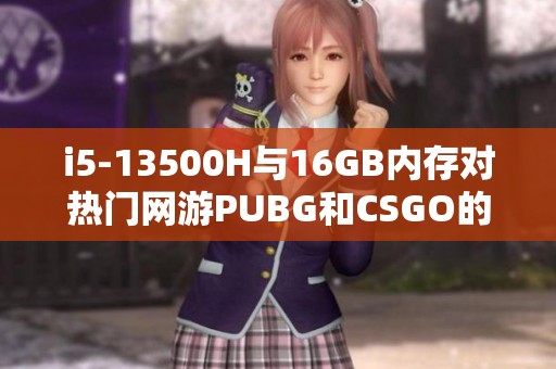 i5-13500H与16GB内存对热门网游PUBG和CSGO的性能分析
