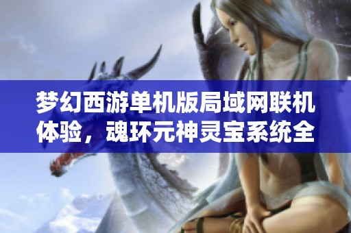 梦幻西游单机版局域网联机体验，魂环元神灵宝系统全新升级