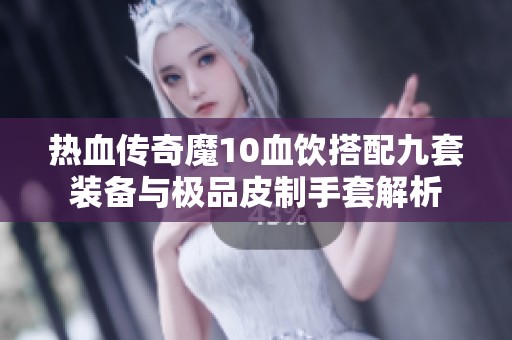 热血传奇魔10血饮搭配九套装备与极品皮制手套解析