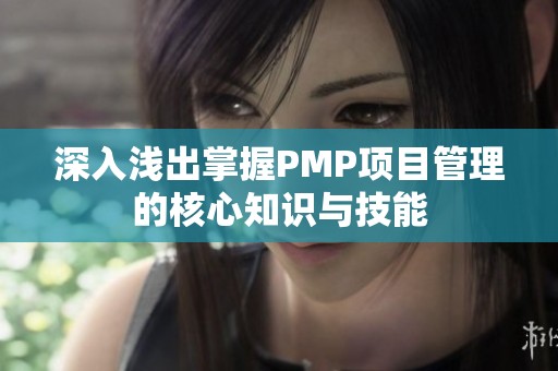 深入浅出掌握PMP项目管理的核心知识与技能