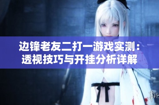 边锋老友二打一游戏实测：透视技巧与开挂分析详解