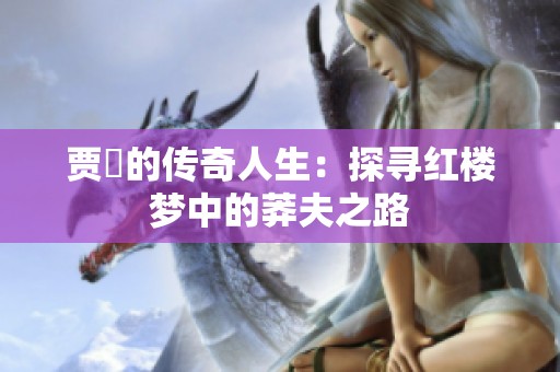 贾珪的传奇人生：探寻红楼梦中的莽夫之路