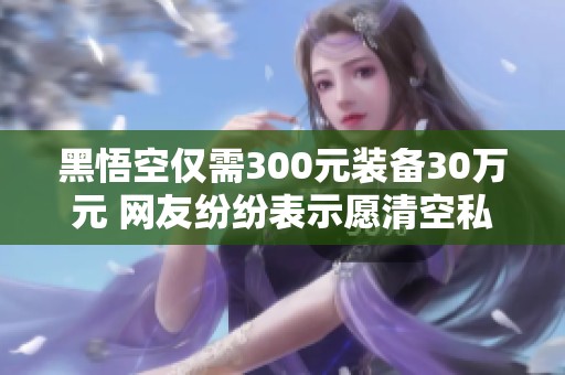 黑悟空仅需300元装备30万元 网友纷纷表示愿清空私房钱支持