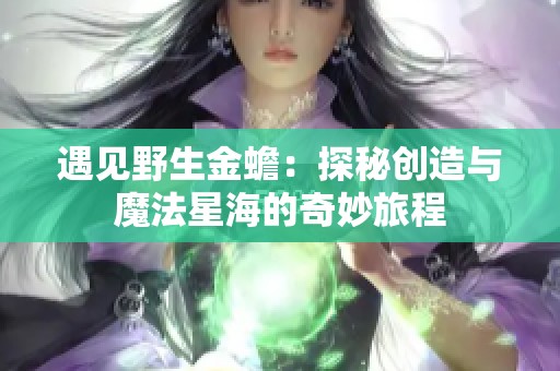 遇见野生金蟾：探秘创造与魔法星海的奇妙旅程