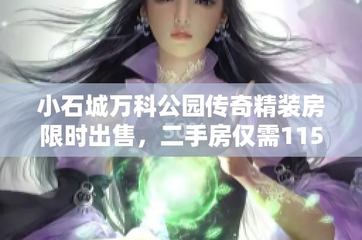 小石城万科公园传奇精装房限时出售，二手房仅需115万