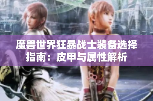 魔兽世界狂暴战士装备选择指南：皮甲与属性解析