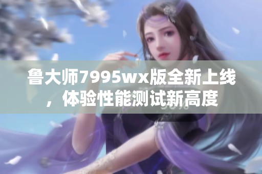 鲁大师7995wx版全新上线，体验性能测试新高度