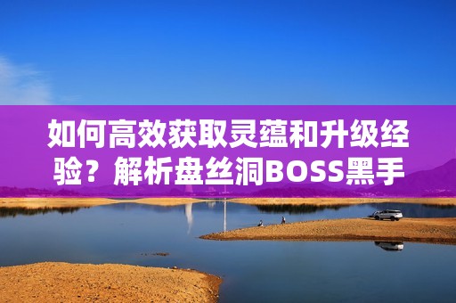 如何高效获取灵蕴和升级经验？解析盘丝洞BOSS黑手道人的策略