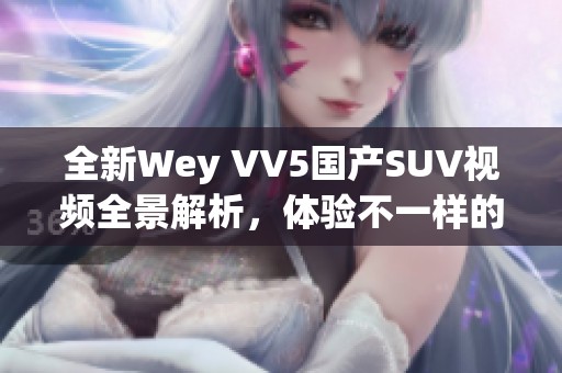 全新Wey VV5国产SUV视频全景解析，体验不一样的驾驶乐趣