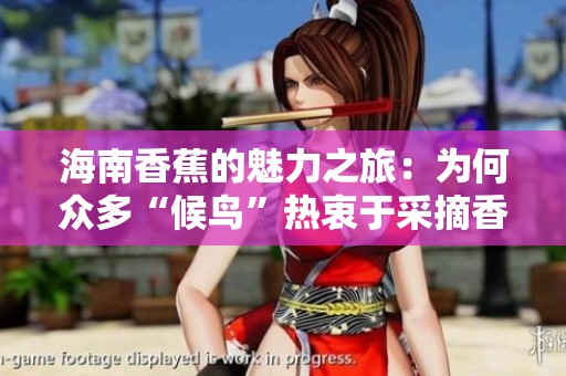 海南香蕉的魅力之旅：为何众多“候鸟”热衷于采摘香蕉
