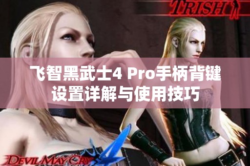 飞智黑武士4 Pro手柄背键设置详解与使用技巧