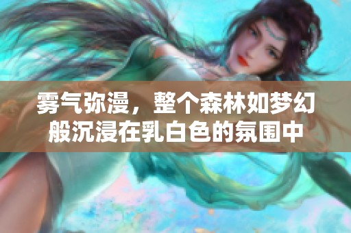 雾气弥漫，整个森林如梦幻般沉浸在乳白色的氛围中