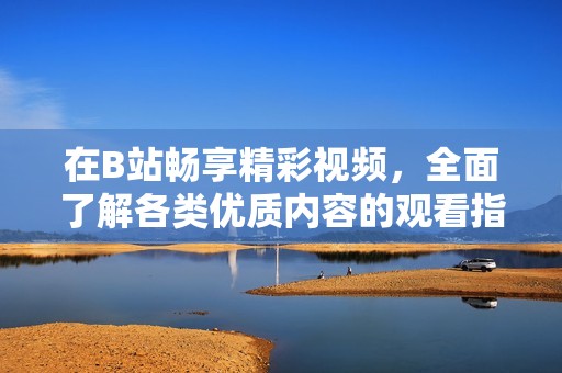 在B站畅享精彩视频，全面了解各类优质内容的观看指南