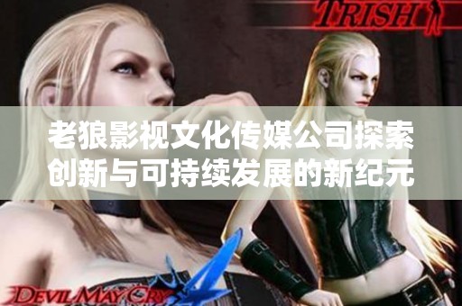 老狼影视文化传媒公司探索创新与可持续发展的新纪元