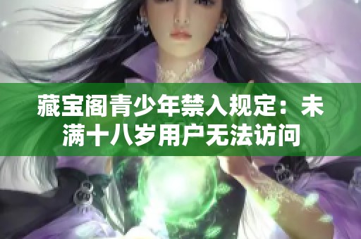 藏宝阁青少年禁入规定：未满十八岁用户无法访问