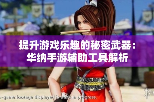 提升游戏乐趣的秘密武器：华纳手游辅助工具解析