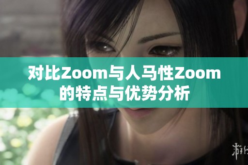 对比Zoom与人马性Zoom的特点与优势分析