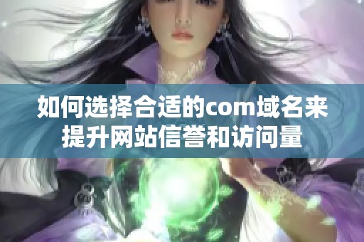 如何选择合适的com域名来提升网站信誉和访问量