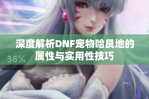 深度解析DNF宠物哈艮地的属性与实用性技巧